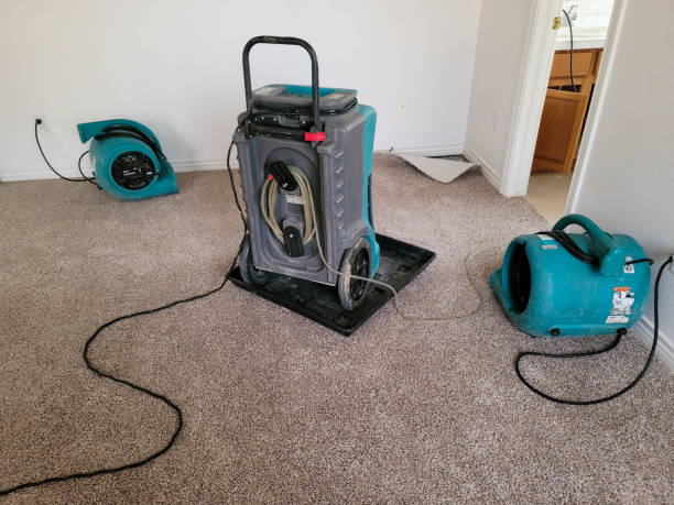 Best Residential water damage restoration  in Parkers Prairie, MN