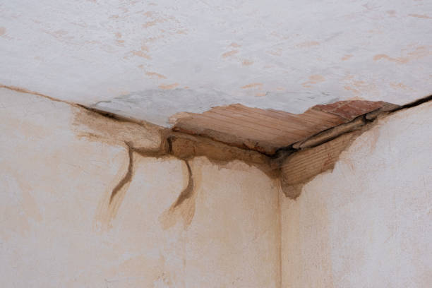 Best Carpet water damage restoration  in Parkers Prairie, MN