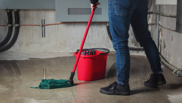 Professional Water damage restoration in Parkers Prairie, MN
