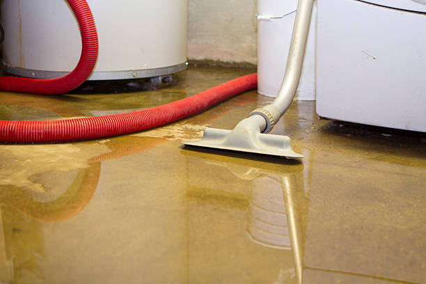 Sewage cleanup and water damage restoration in Parkers Prairie, MN