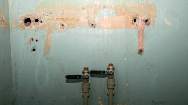 Best Sewage cleanup and water damage restoration  in Parkers Prairie, MN