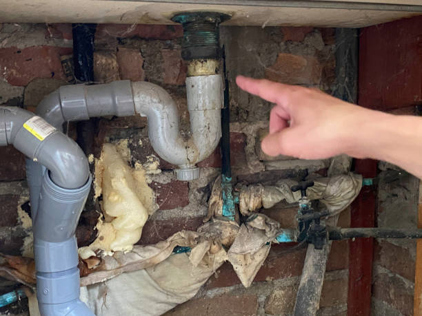 Trusted Parkers Prairie, MN Water damage restoration Experts