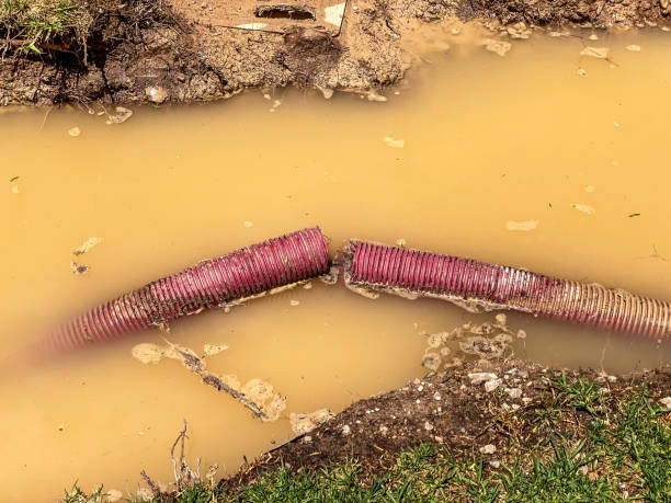 Best Water damage restoration near me  in Parkers Prairie, MN